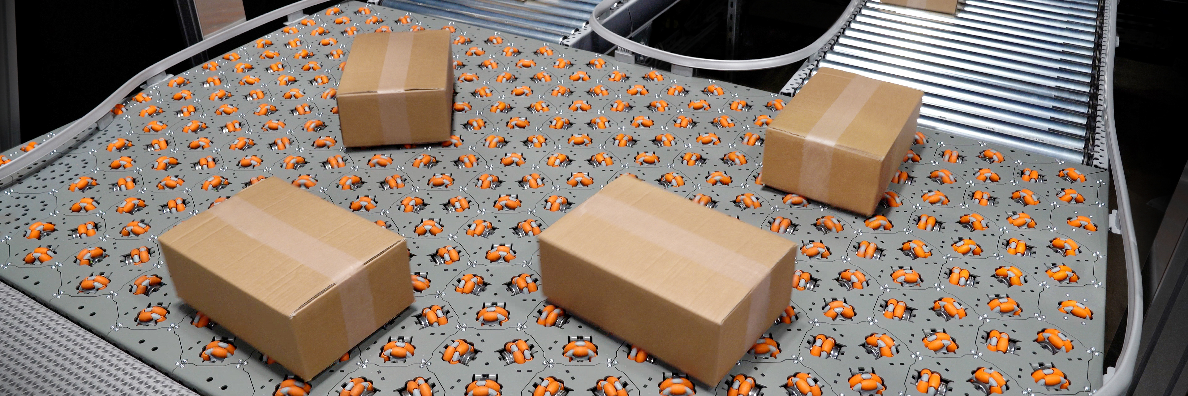 cellumation GmbH - Image 3