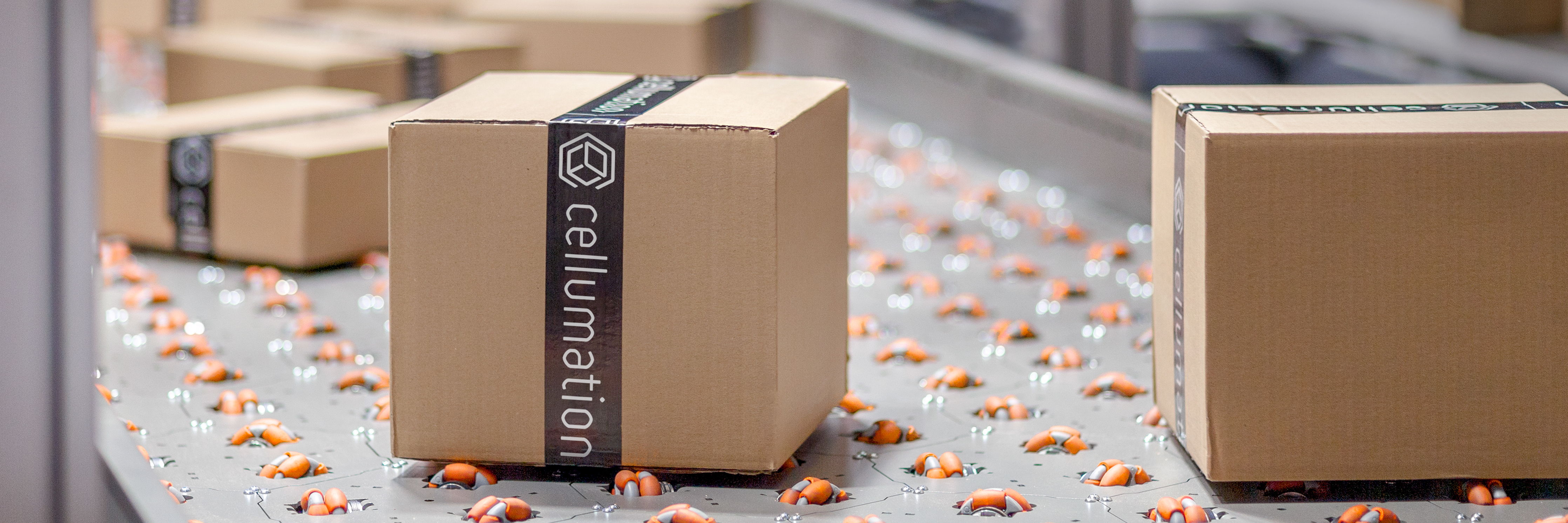 cellumation GmbH - Image 4