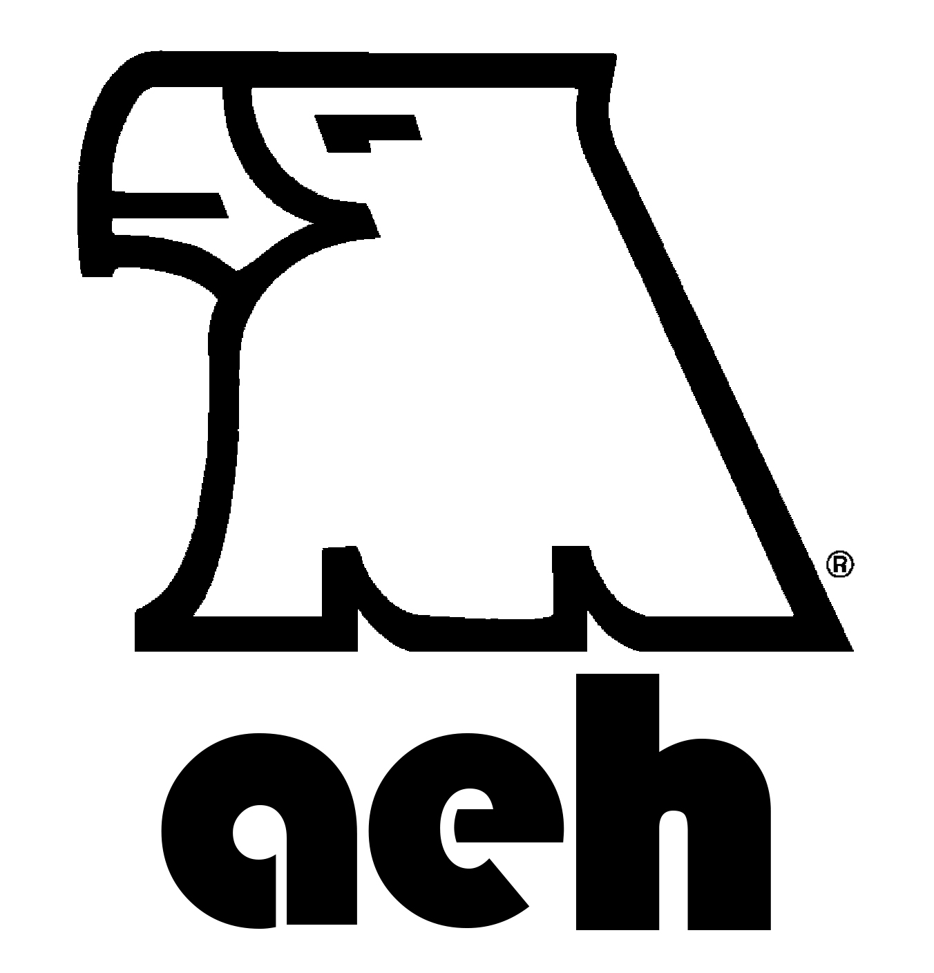 American Equipment Systems Logo