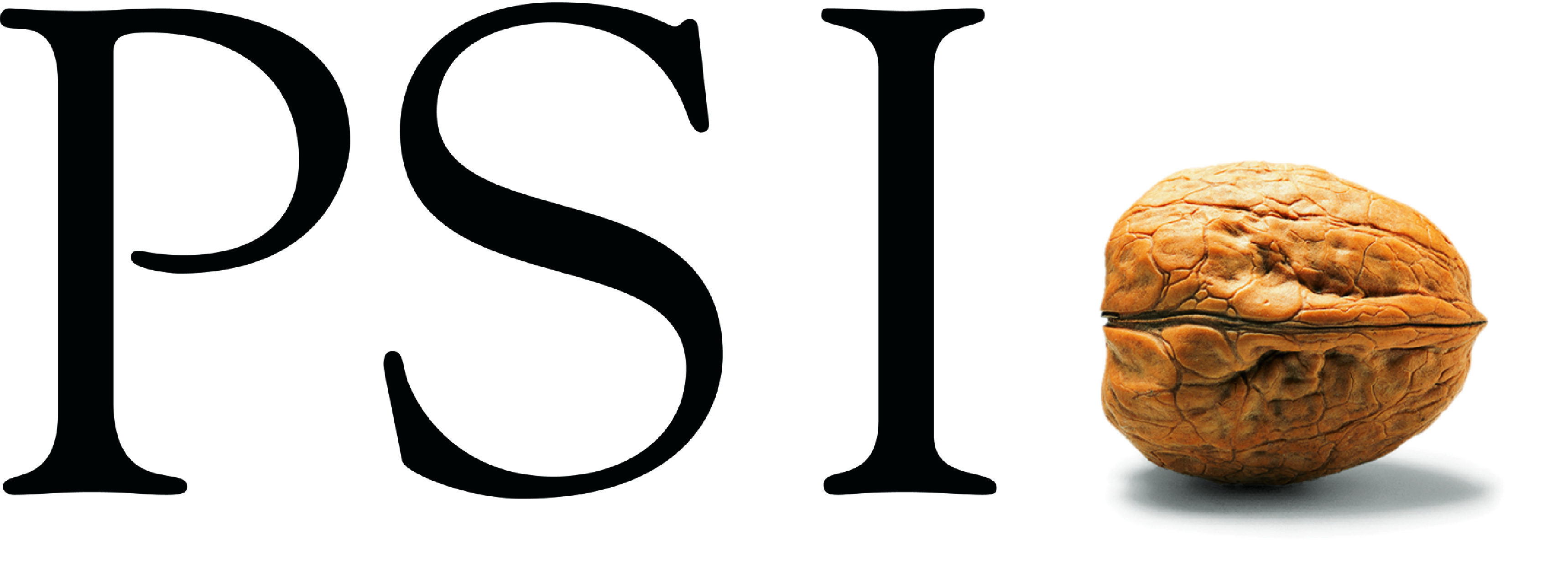 PSI Software SE - Logistics Logo