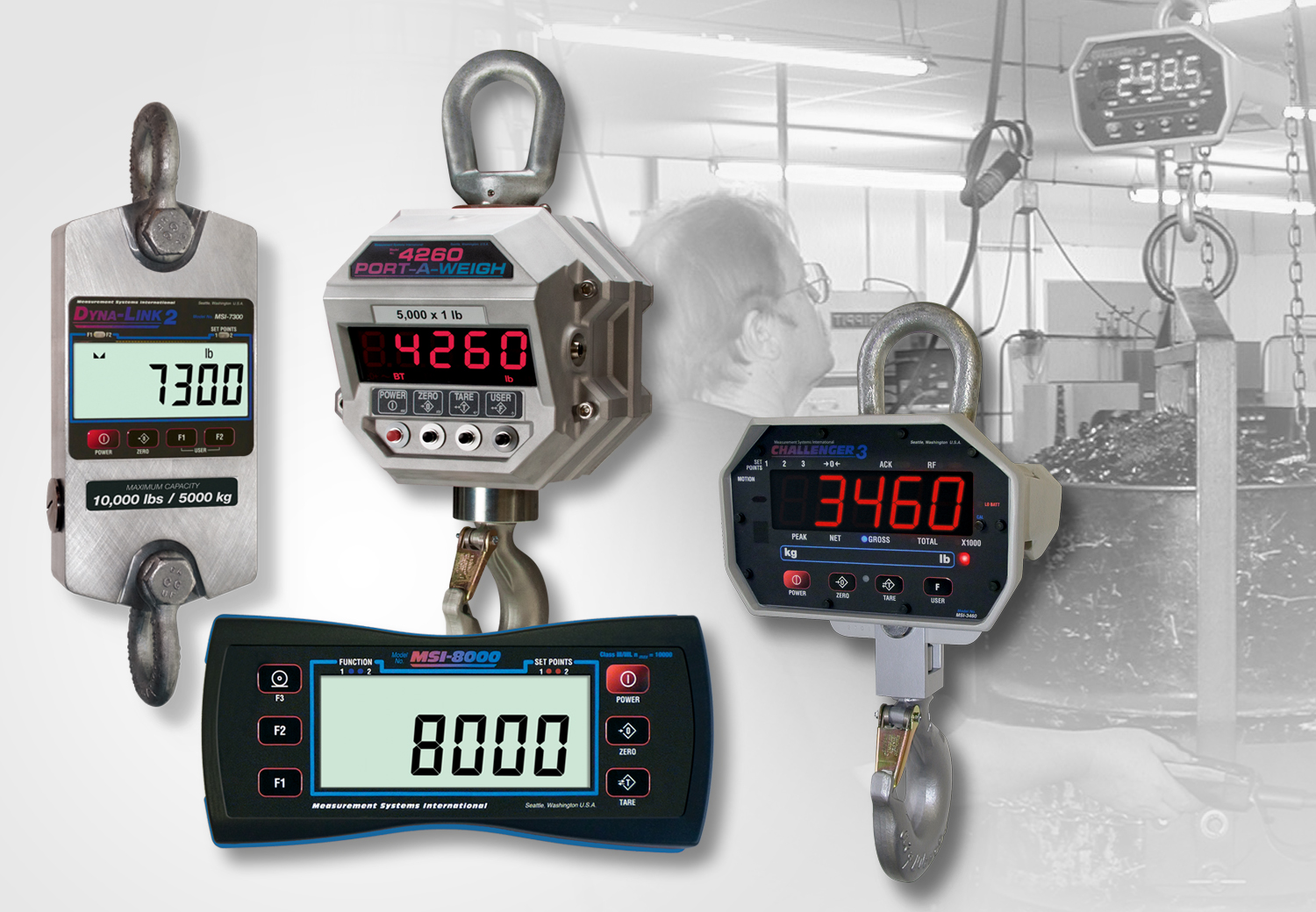 Rice Lake Weighing Systems - Image 2