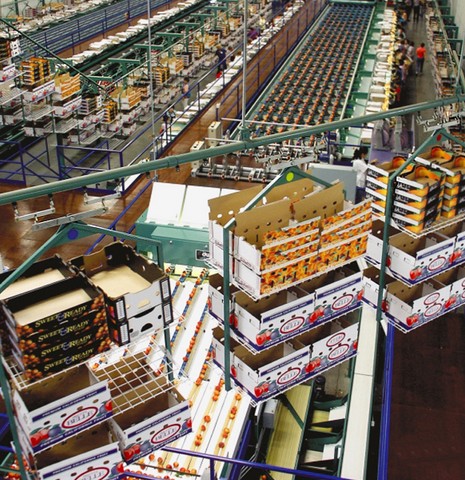 Lauyans & Company, Inc. - Image 5