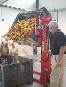 Interthor, Inc. - Image 3