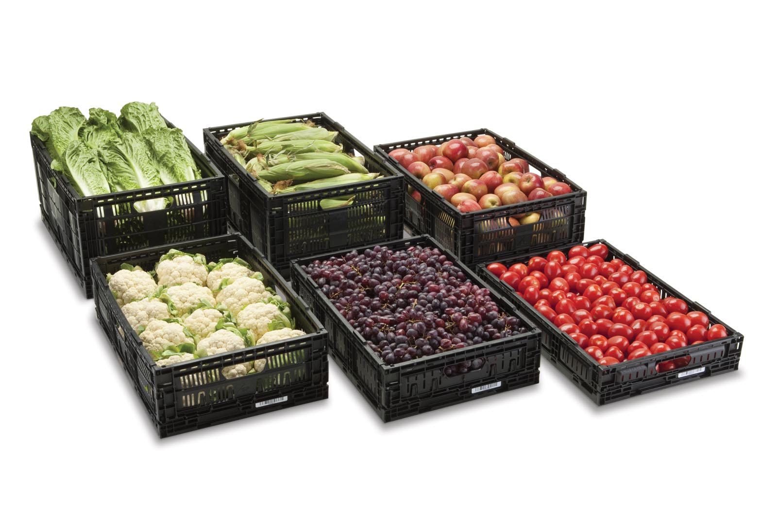 Rehrig Pacific Company - Image 3