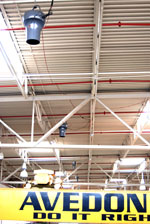 The Air Pear - Image 3