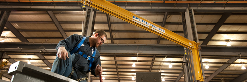 Rigid Lifelines - Image 2