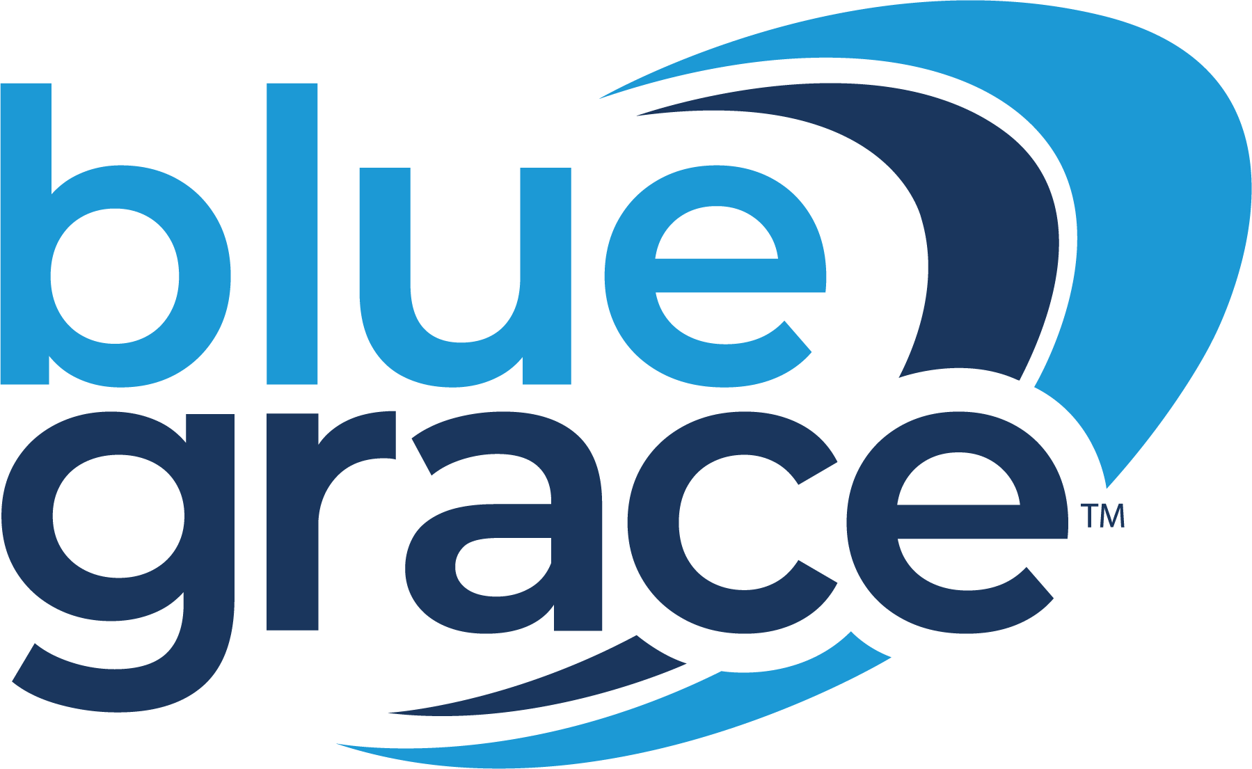 BlueGrace Logistics Logo