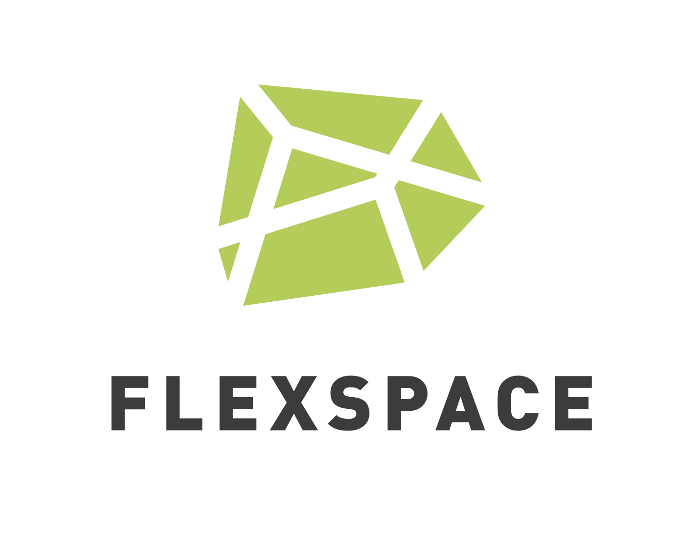 FLEXSPACE Logo