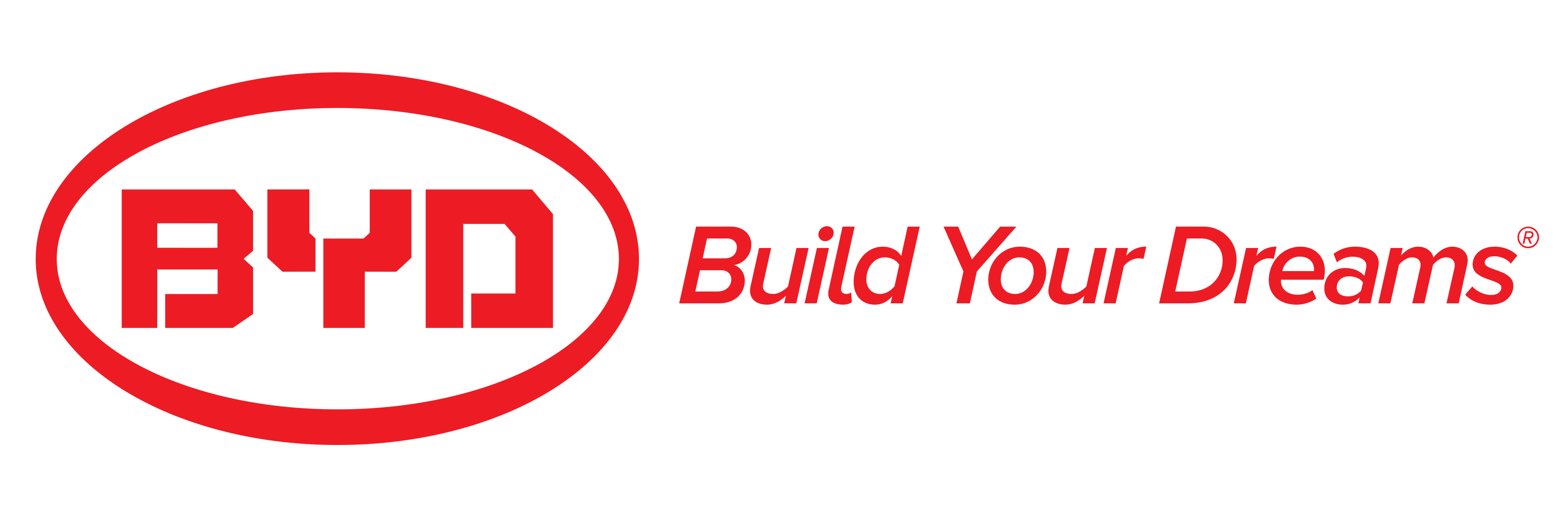 BYD Logo