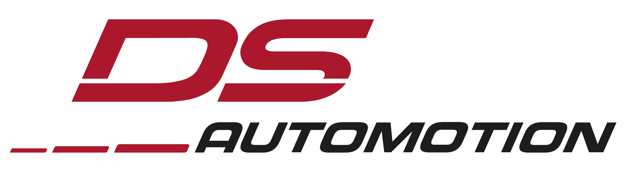 DS AUTOMOTION LLC Logo