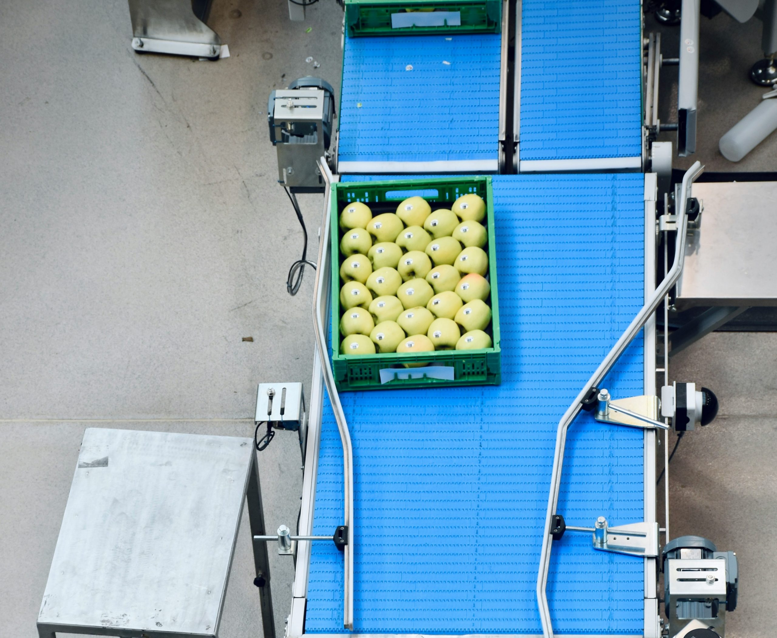 Automation in the Cold Chain