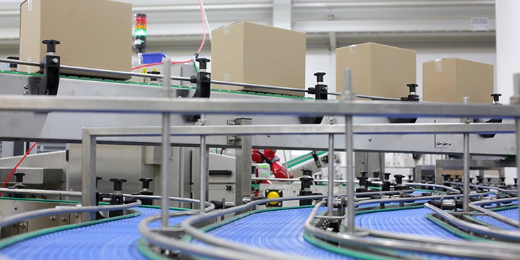 Managing Growth: How Conveyor And Sortation Systems Reduce Waste And Increase Productivity